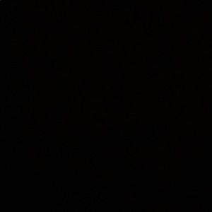 Meet your Posher, Jackson